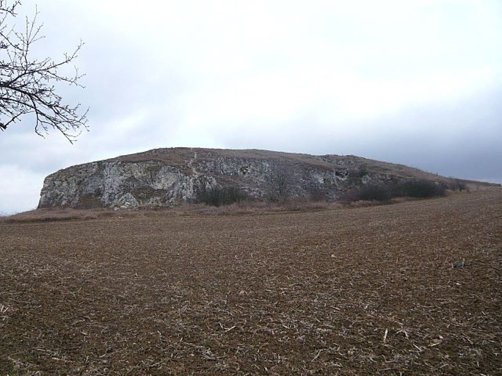 Z Kuřimi do mikroregionu Čebínka