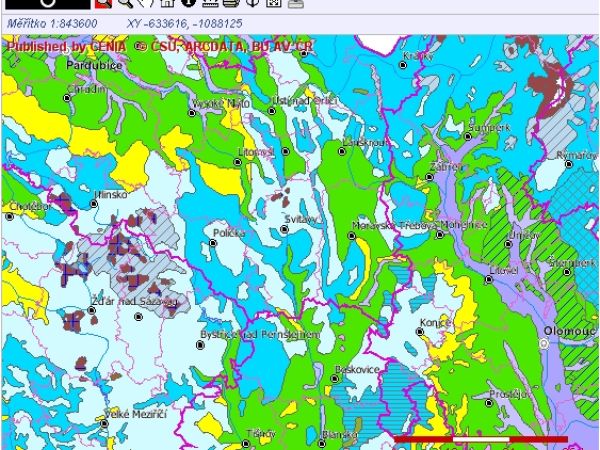 Mapa vegetace