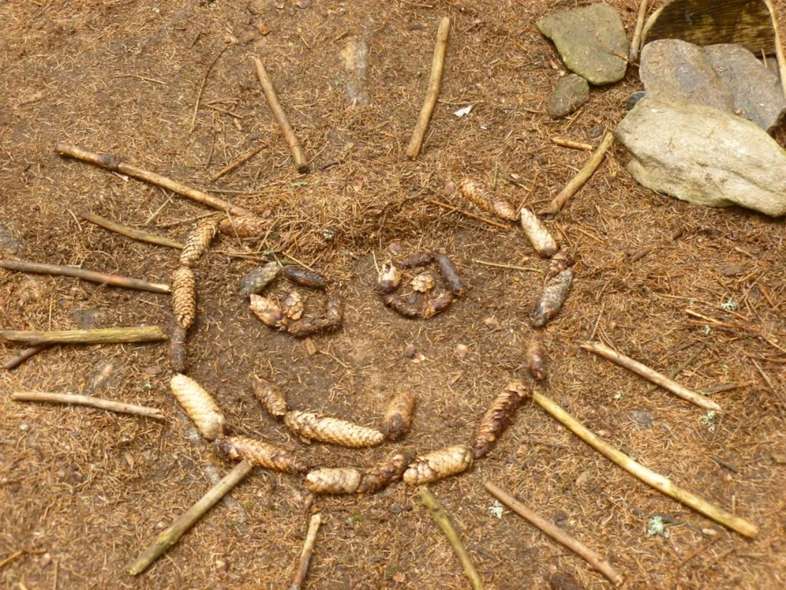 Škola v přírodě 1.B
